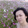 聖子さんの掲示板書き込み